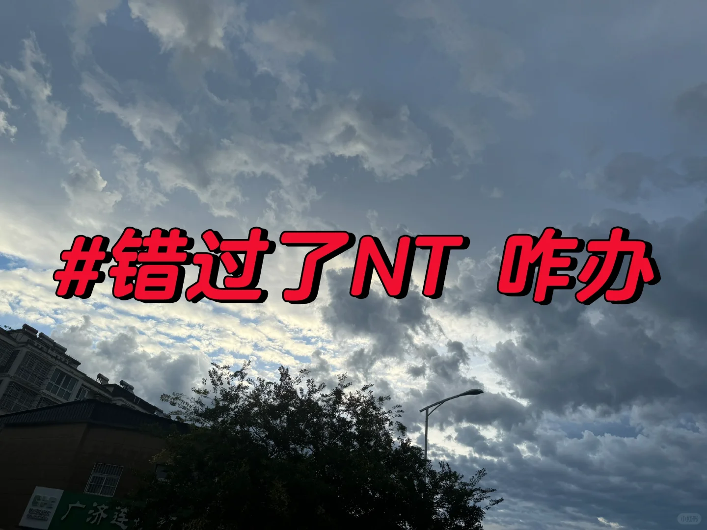 错过了NT 咋办,咨询代孕电话,国内代生儿子费用