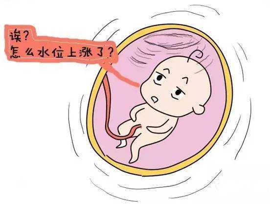 拉拉试管婴儿攻略|瑞典IUI/IVF政策、流程与费用