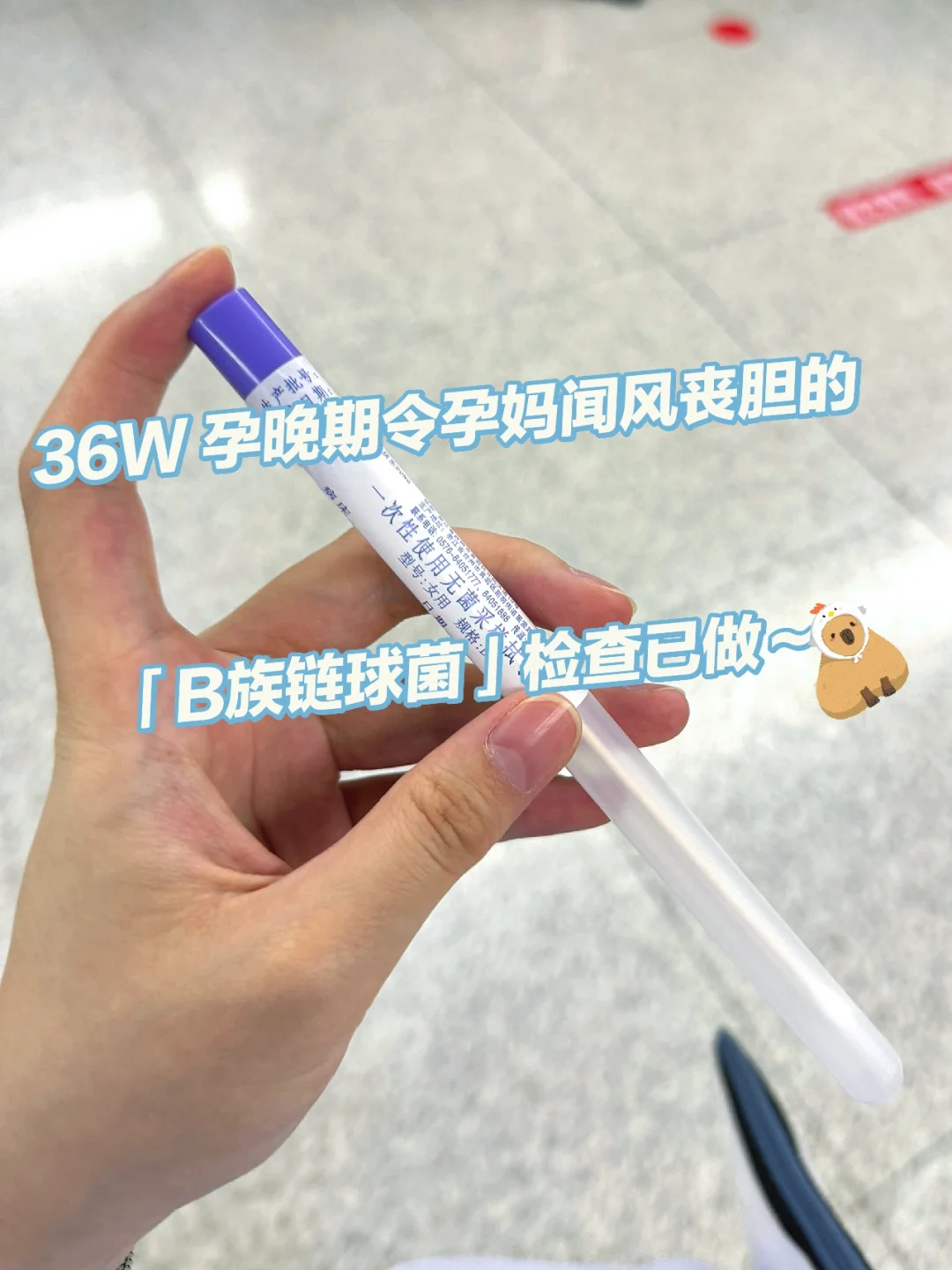 36w 孕晚期 B族链球菌检查 刚做完,高鹰代孕哪家好